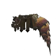 Vespoid Coil α - female